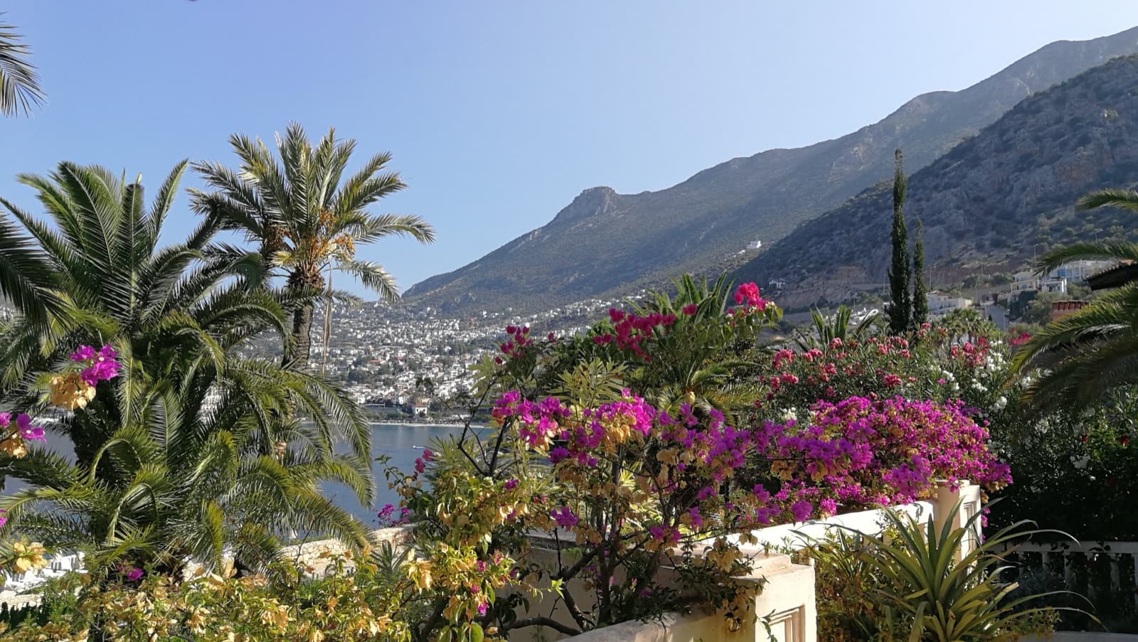 A hillside terrace view over the bay at Kalkan, Turkey, framed by palms and bougainvillea