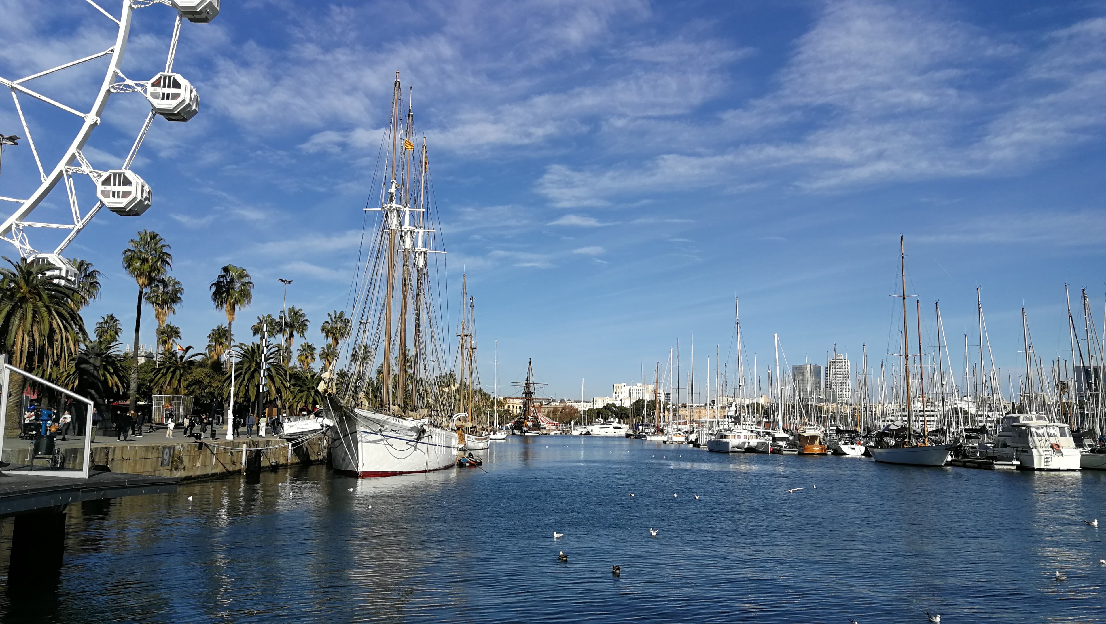 Sailboats in Barcelona's Port Vell harbour, with palms and the waterfront beyond