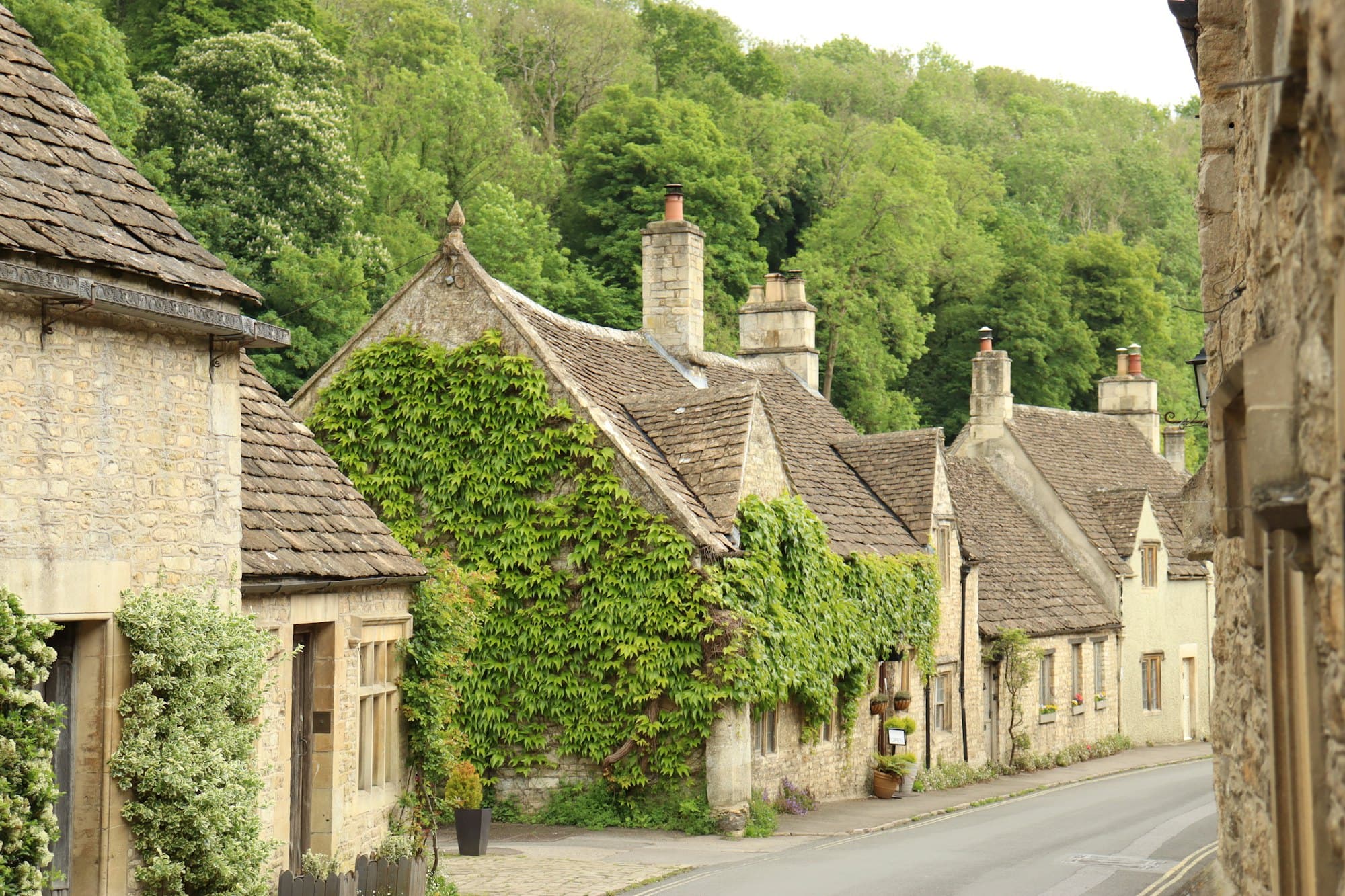 Traditional houses covered in climbing ivy